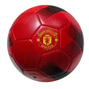 Football - Manchester United